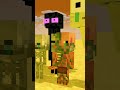 Minecraft Witch and Wither Skeleton Past Life - A Minecraft Animation