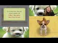 Nintendogs Highlights [WayneradioTV fan edit]