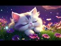 Stress Relief Music 🌟 Ultimate Relaxation with Peaceful Sounds