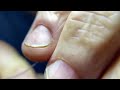 Tying The Sludge Worm Leech Fly Pattern = Tiny Leech