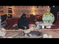 LIFE IN A TENT IN THE DESERT OF SAUDI ARABIA-المملكة العربية السعودية ,الرياض