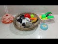 You Laugh You Lose😻👋Funniest Dogs and Cats 2024🤔