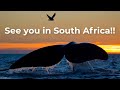 South Africa Nature Sketching Tour