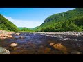 Peaceful River Water Sounds and Beautiful Relaxing Piano Music 4k • Relax, Sleep, Meditate, Study