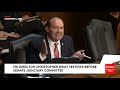 'You Have A Lot Of Gall, Sir!': Mike Lee Explodes At FBI's Wray Over Agents' Abuses