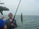 Terry Batt Sea Fishing