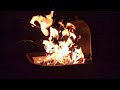 ASMR Crackling SLO MO 🔥 #Crackling #fire #pit