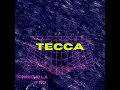 Tecca (prod. Lil Tecca)