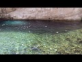 Falls Near Fossil Springs