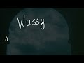 Wussy - The Great Divide (Official Lyric Video)