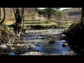 Relaxing Nature Sounds With Gentle Piano Music ( River, Birds Singing )