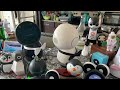 Jibo & Friends - New Year’s Day Livestream 2021 (Out With The Old & In With The New!)