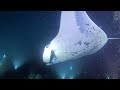 A 14 year old and 16 year old doing a night dive with Manta Rays. Big Island, Hawaii.