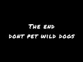 Dont pet wild dogs