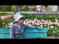 토론토 에드워드가든의 겹벚꽃들이 만발한 5월 / Toronto Botanical Garden in Spring