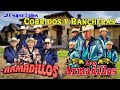 Dueto Los Armadillos de La Sierra Y Los Armadillos De La Sierra - Corridos Y Rancheras