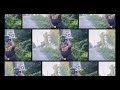 DJ DAMM FT YGutta - N 2 Deep (Official Video)