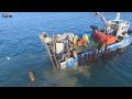 Farmers Raise & Harvest Billions of Mussels This Way | Mussel Farm