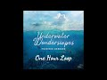 Frederic Bernard -- Underwater Wonderscapes [aka Swarm of Fish] -- One Hour Loop