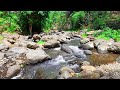 4K UHD Forest River River Sound Ambience - Relaxing Nature Sounds for Sleep & Meditation