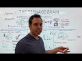 The Teenage Brain - Synaptic Pruning, Myelination