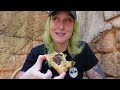 Earth Month Vegan Pizza at Disney's Animal Kingdom