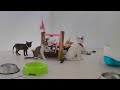 New Funny Cats and Dogs Videos 🤣🐱 Funny Animal Videos 2024 🤣