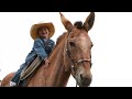 Molly the Mule: 2024 Cowgirl Cadillacs Sale (Sheridan)