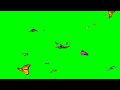 💥 Butterfly green screen video 💥 || Butterfly video 💥|| Green screen video || Green screen template