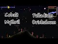 Terraria from a New Players Perspective