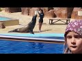 Spectacle otarie au Marineland Catalogne en Espagne P1