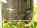 Catch Hundreds of House Flies In Days With A Homemade Trap
