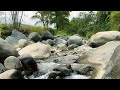 Beautiful Mountain River Flowing Sound. Forest River, Relaxing Nature Sounds/ Sleep/ Relax