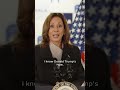 Vice President Kamala Harris Knows Donald Trump’s Type