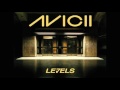 Avicii Levels Remix