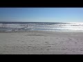 Myrtle Beach January 2016