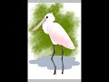 Spoonbill speedpaint