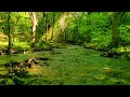 Relaxing Zen Music with Water Sounds | Spa Meditation Yoga Zen ASMR