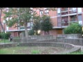 Lavinia Alberti - sampler - parkour/freerunning