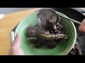 Would you eat this? Every Filipino does! | PORK BLOOD STEW | DINUGUAAN | TIDTAD Kapampangan 😋