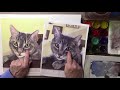 Finishing a Portrait - Smokey