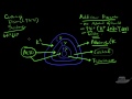 Adrenal Gland (Adrenal Cortex) Explained Clearly