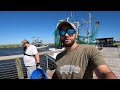 Netting LOTS OF CRABS From a Public Pier | Blue Crab Catch and Cook