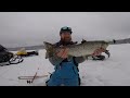 Landlocked Salmon - Ice Fishing From Camp!