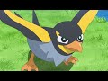 ROY CATCHES WATTREL! Liko Gets HYPNOTIZED + Tera Charizard!😱 | Pokémon Horizons Episode 14 Review