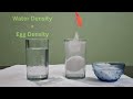Floating Egg #science #experiment | How and Why egg float in salt water #telugu #density #learning