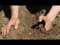 FOREST TO FIELD | Digging a Medieval Vegetable Garden and Planting by Hand | Anglo-Saxon Farming