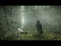 Shadow Of The Colossus Capitulo 24 Coloso 13 Fácil