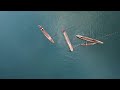 Fishing with Nets_Uru Harbour,East Kwaio,Malaita Province.