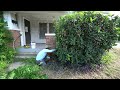 SICK Parents forced this HOME OWNER to leave his PROPERTY causing the yard to a  MASSIVE OVERGROWN